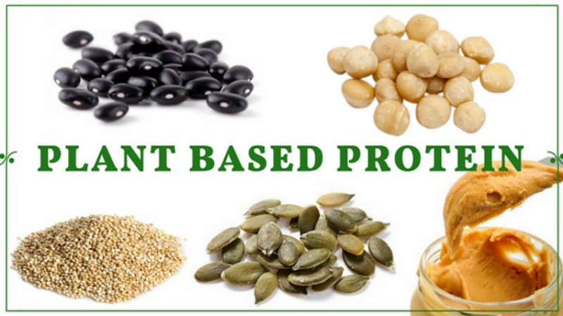 Plant Based Protein Sources
