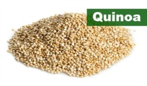 Quinoa - Plant Based Protein Source